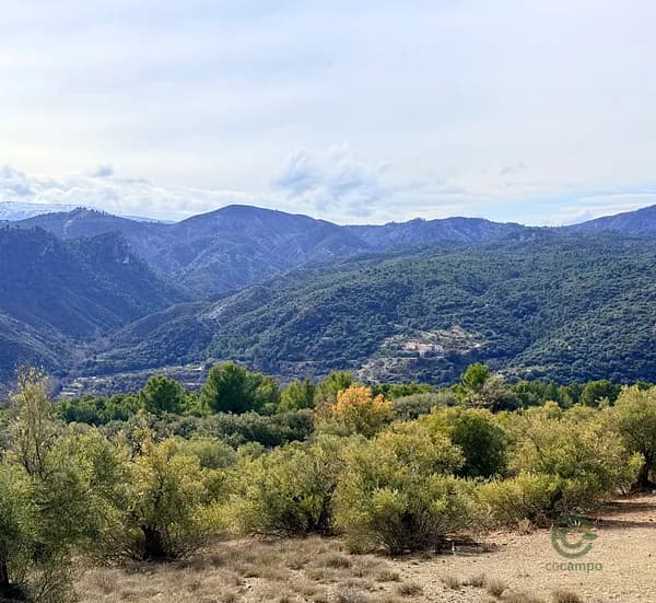 Rustic property of 1000 ha for sale in Granada