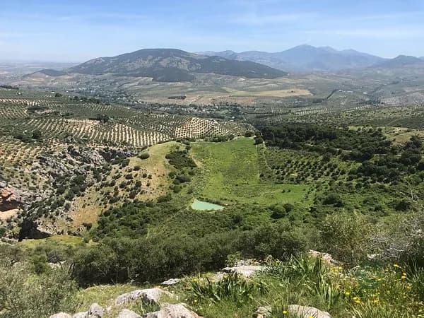 Finca rustica de 295 ha per a venda a Jaén