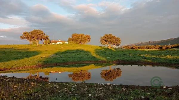 Finca rústica de 650 ha en venta en Puertollano, Ciudad real