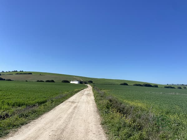 Finca rústica de 515 ha en venta en Cádiz