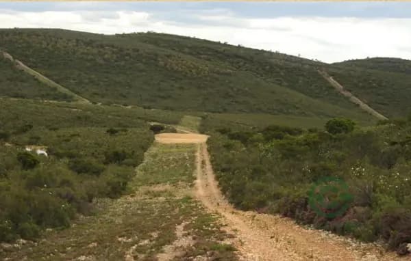 Finca rústica de 1036 ha en venta en Ciudad real