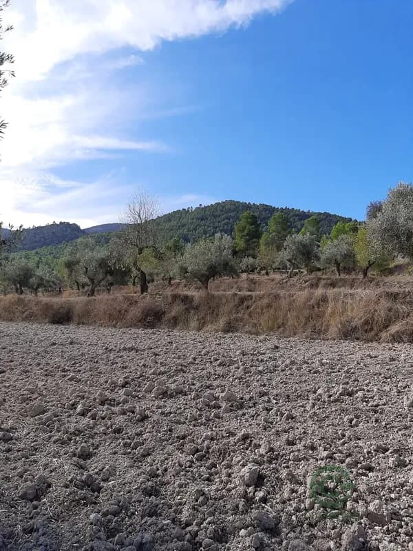 Finca rústica de 280 ha en venta en Alicante