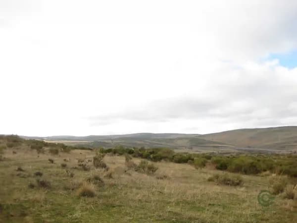 Finca rústica de 216 ha en alquiler en Ávila