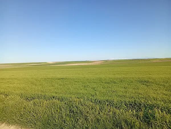 Finca agrícola de 13 ha en alquiler en Segovia