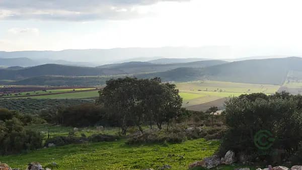 Finca rústica de 509 ha en venta en Ciudad real