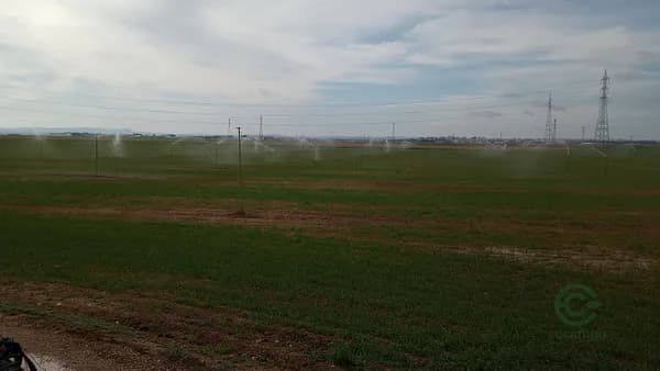 Finca agrícola de 114 ha en alquiler en Albacete