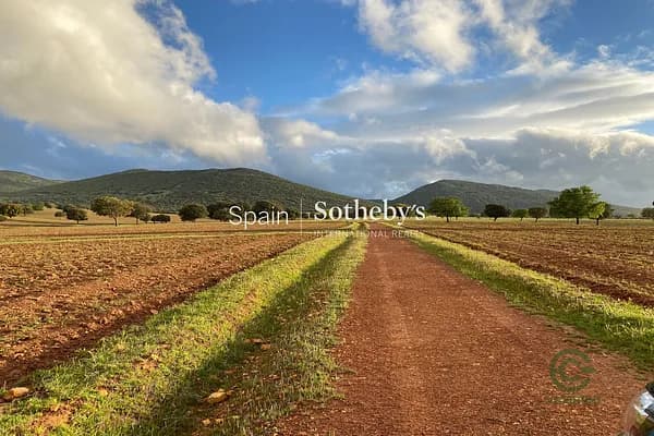 Finca rústica de 2000 ha en venta en Ciudad real, Ciudad real