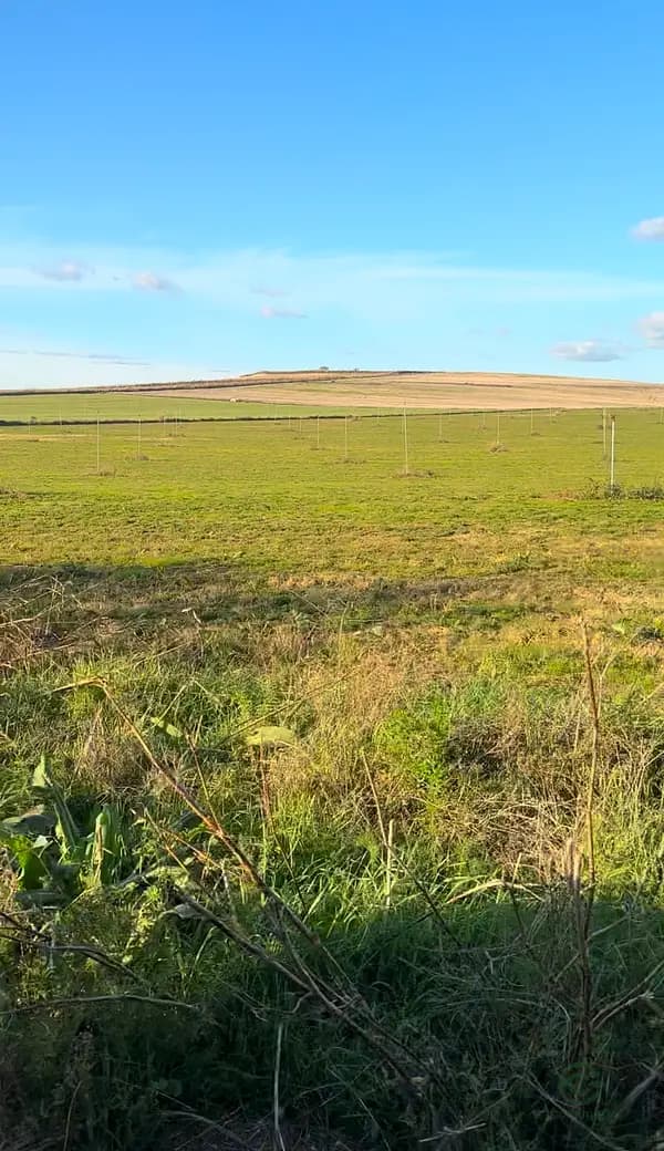Finca agrícola de 15 ha en alquiler en Toledo