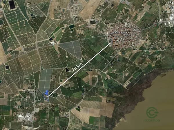 Finca rústica de 1 ha en venta en Alicante