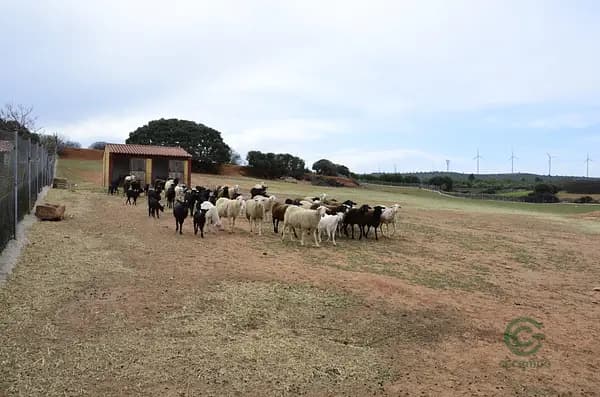 Finca rústica de 7 ha en venta en Cuenca