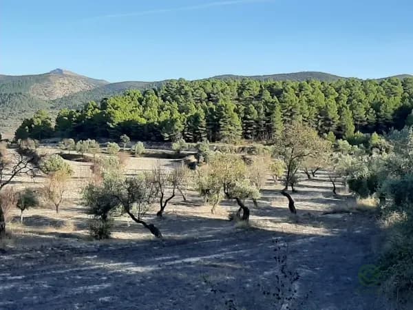 Finca agrícola de 120 ha en venta en Alicante
