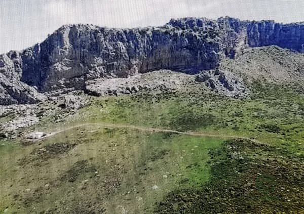 Spot image