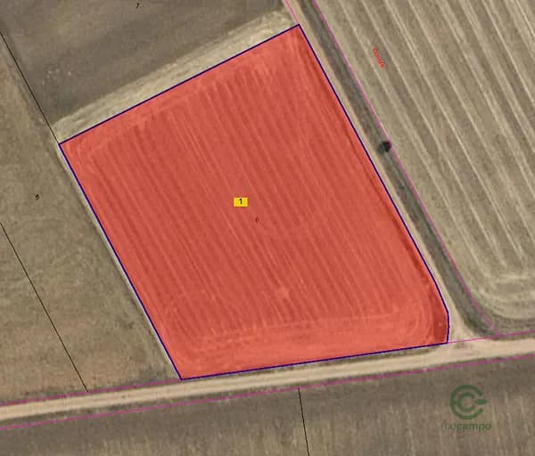 Spot image