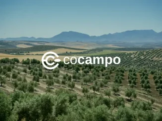 Cocampo, plataforma que surge para transformar la compraventa y el arrendamiento de fincas rústicas.