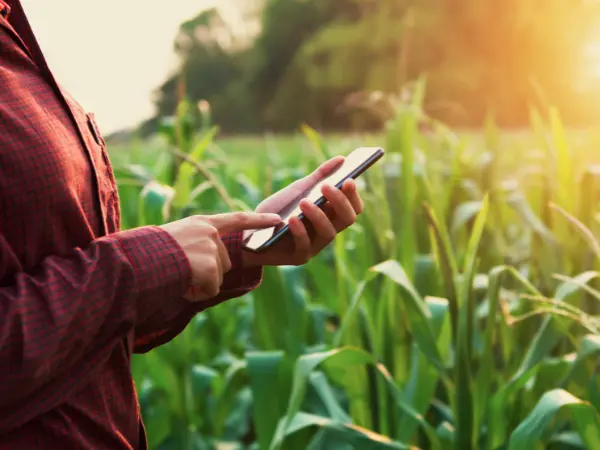 Agricultora controlando sensores para el cultivo en su estancia.