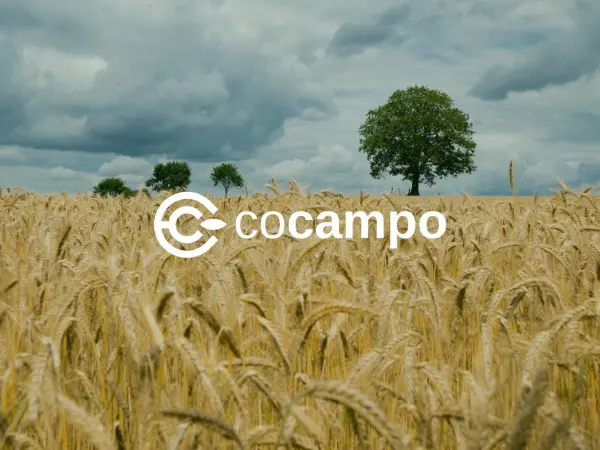 Cocampo, a plataforma que transforma a compra e venda e o arrendamento de fazendas.