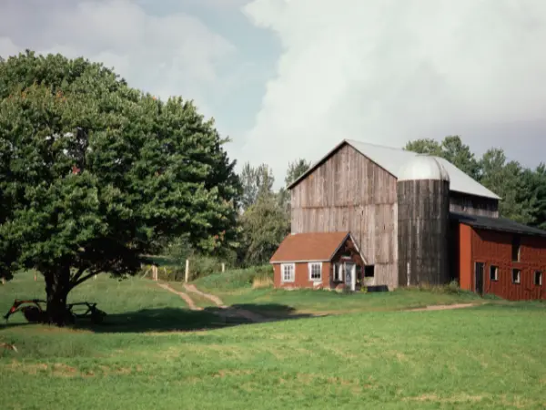 Fazenda rústica à venda com uma árvore.