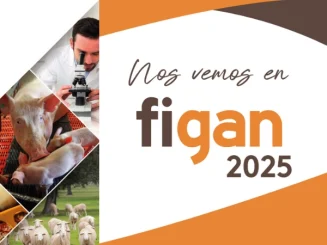 Cartel promocional de la 17ª edición de FIGAN.